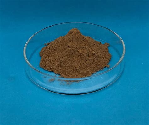 Black Garlic Extract Supplier, S-Allyl-L-Cysteine (SAC) 1% powder