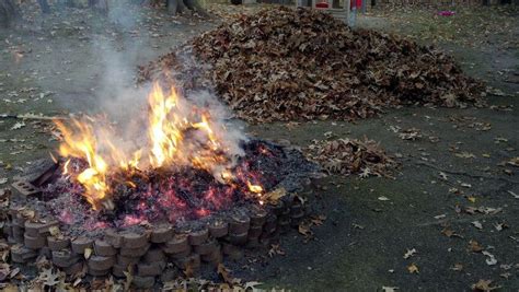 Is Burning Leaves Bad for the Environment?