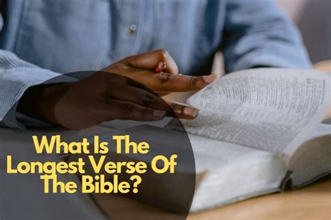 What Is The Longest Verse Of The Bible? – Bible Verses of the day