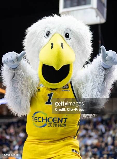 Mascot Albatros Photos and Premium High Res Pictures - Getty Images