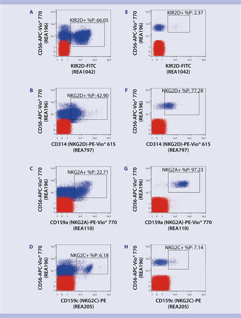 Immunophenotyping | NK cell subsets from blood | Protocol | Miltenyi ...