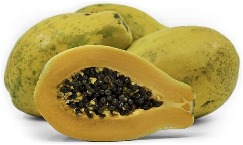 Hawaiian Papaya Information and Facts