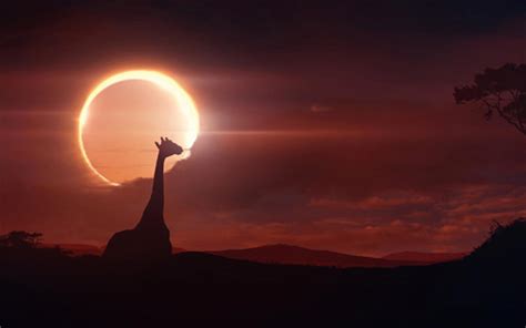 Solar Eclipse Wallpapers - Wallpaper Cave