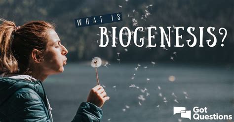 What is biogenesis? | GotQuestions.org