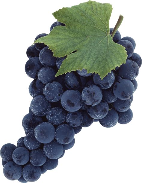 Grape Clip art - Grape Png Image png download - 2520*3242 - Free Transparent Common Grape Vine ...