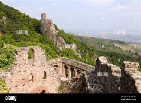 Ribeauville, France - April 20. 2014: Ruins of the medieval castle Saint-Ulrich (built from the ...