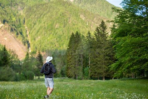 Man hiking in forest stock image. Image of nature, happy - 178243663