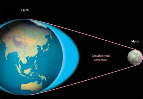 Phases of the Moon & Tides | Science - Quizizz