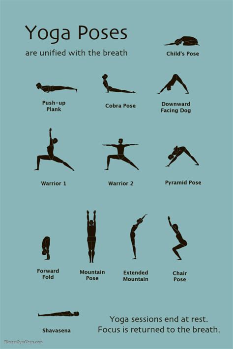 Yoga Poses For Beginners Pictures - Work Out Picture Media - Work Out ...