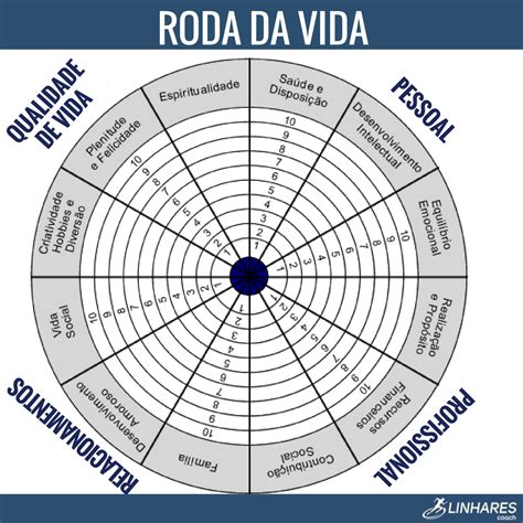 Roda da Vida - COACHING ESPORTIVO - Linhares Coach