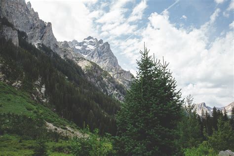 Cascade Canyon Trail