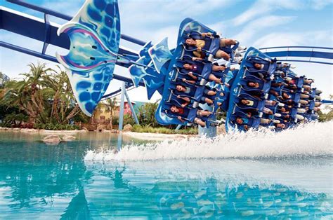 Manta | SeaWorld Orlando Discount Tickets | Undercover Tourist