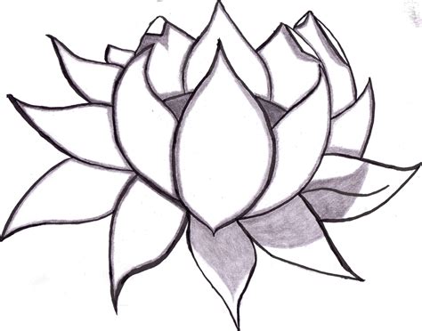 Flowers Drawings Easy - Drawing And Sketches - ClipArt Best - ClipArt Best