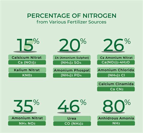 Percentage of nitrogen from various fertilizer sources 9764520 Vector Art at Vecteezy