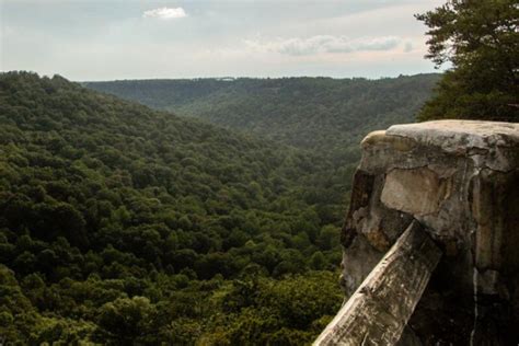 Escape to the Great Oudoors of Lookout Mountain Alabama