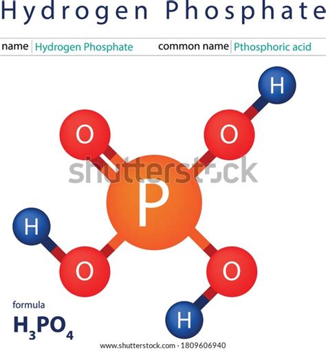 33 Sodium Hydrogen Phosphate Images, Stock Photos & Vectors | Shutterstock