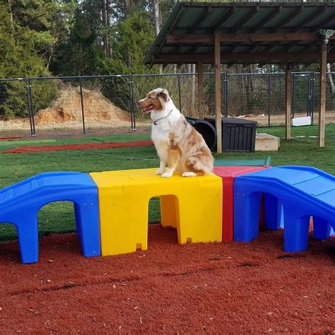 Puppy Playground manufactures Dog Play Equipment and games that ...