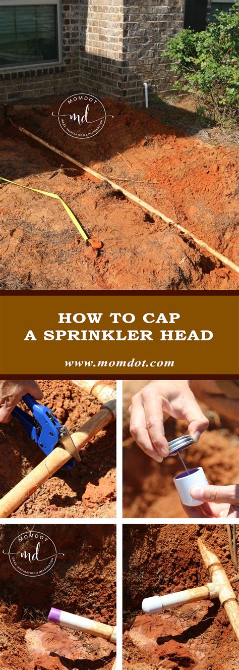 How to cap a Sprinkler head DIY