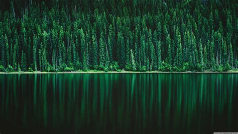 Forest Lake (3840x2160) : WQHD_Wallpaper