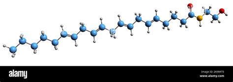 3D image of Anandamide skeletal formula - molecular chemical structure of N ...