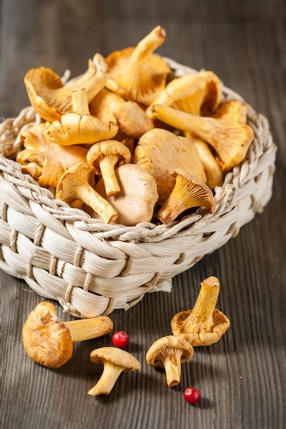 Premium Photo | Chanterelle mushrooms