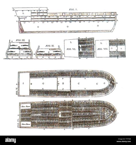 Slave ship – Telegraph