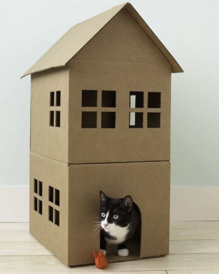 Construir casa de cartón para gatos paso a paso.