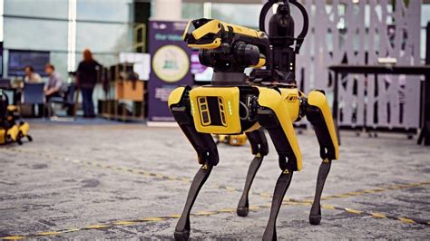 Robot Dog Olympics takes place at MoD in Bristol - BBC News