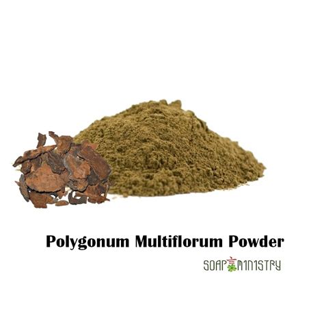 Polygonum Multiflorum Powder 50g