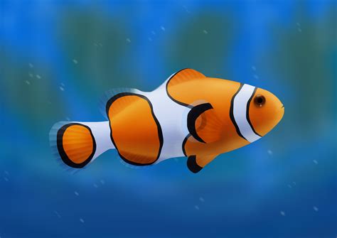 Clownfish painting process c: by Aurora-Alley on DeviantArt