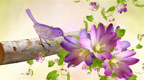 Bird and Flower Wallpaper (56+ images)