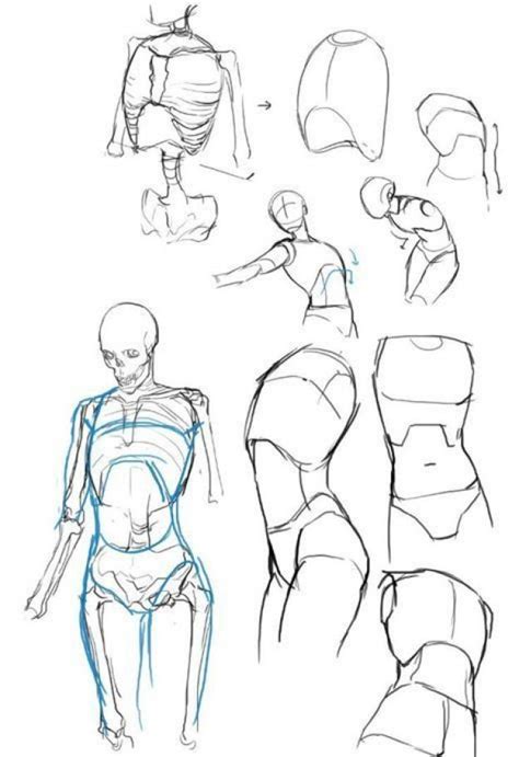 Torso reference #figuredrawing #figure #drawing #poses | Human figure drawing, Art reference ...