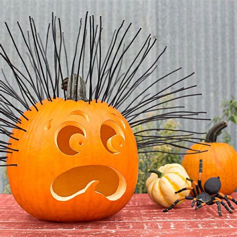 Hair-raising pumpkin, gourds and spider. Hair-Raising Experience Strands of black electrical ...