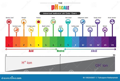 The PH Scale Universal Indicator PH Color Chart Diagram Stock Vector - Illustration of litmus ...