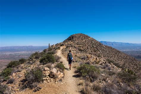 8 Reasons to Go to Arizona's Saguaro National Park | HuffPost