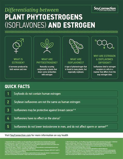 Soy Nutrition & Health Research | Soy Connection