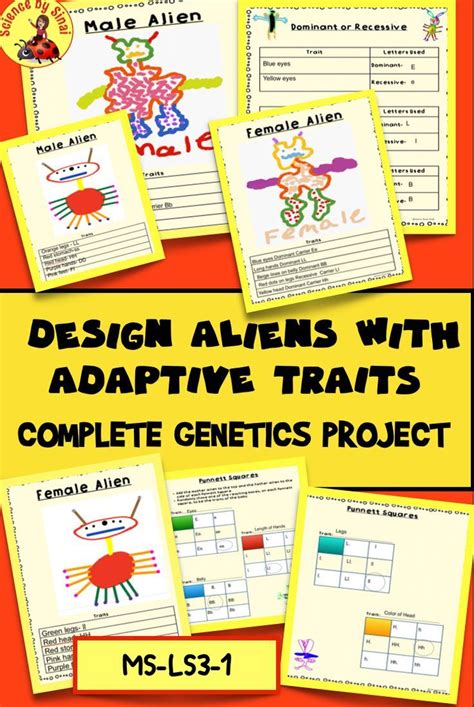 #sciencebysinai ,genetics alien project, middle school genetics project ...