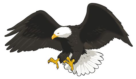 eagle clipart transparent background 10 free Cliparts | Download images on Clipground 2024