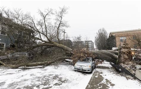 Portland General Electric says January winter storms among the worst they've seen