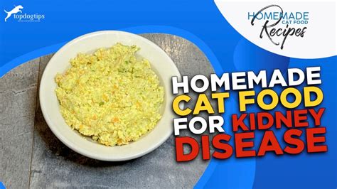 Recipe: Homemade Cat Food for Kidney Disease – Top Dog Tips