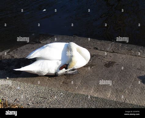 Southport,uk Tourists attractions in Southport Stock Photo - Alamy