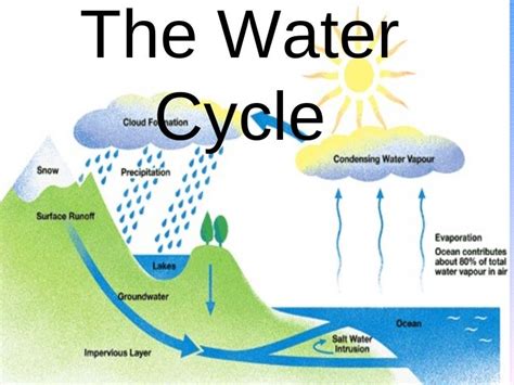 The Water Cycle Final Product