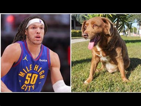 Nuggets’ Aaron Gordon away from team due to injuries from dog bite on ...