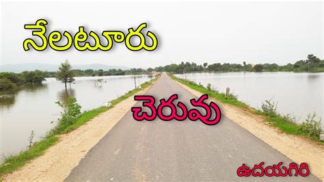 Nelaturu Lake || Udayagiri Mandalam || Nellore District. - YouTube