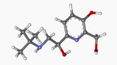 Pirbuterol - wikidoc