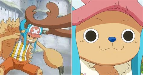 One Piece: 10 Weird Things You Never Knew About Chopper | CBR