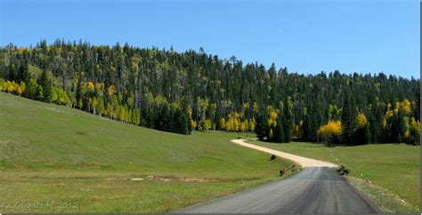 Fall on the North Kaibab National Forest