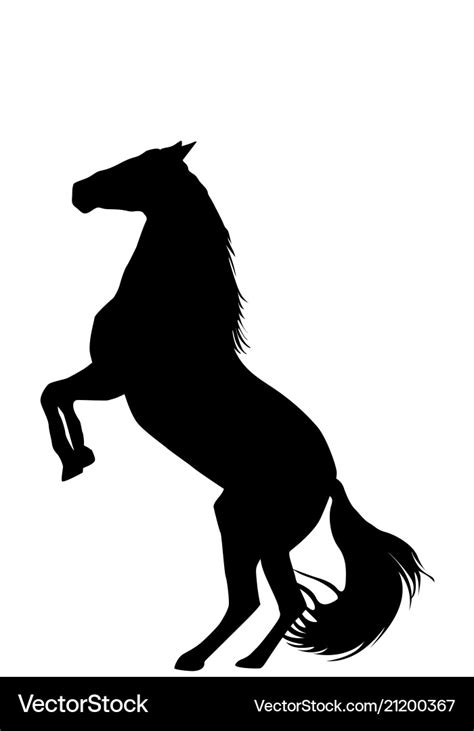 Silhouette of rearing up horse on white background