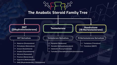 The Truth About Steroids what they Do and How They Work