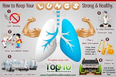 How to Keep Your Lungs Strong and Healthy - Page 3 of 3 | Top 10 Home Remedies